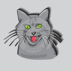 Grey cat vector illustration