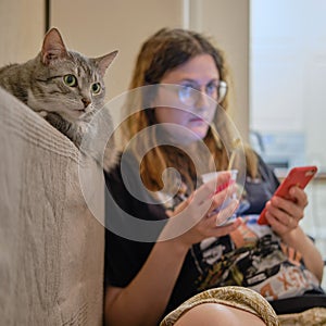 Grey cat watching TV on the sofa next to a woman, close-up portrait