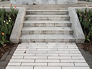 Grey cement stairs or steps with tulips