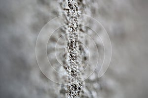 Grey cement wall blurred