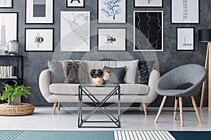 Grey chair next to sofa and table in modern living room interior with plant and posters. Real photo