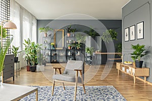 Botanic, spacious living room interior