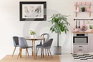 Grey chairs at dining table next to plants in kitchen interior w