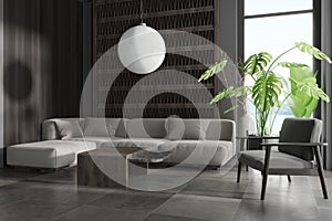 Grey chill interior with couch and armchair with plant near panoramic window