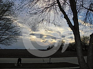 A grey cloudy sunset amongst the trees