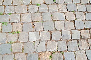 Grey cobble stone pattern