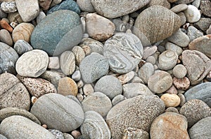 Grey cobbles rounded by river erosion at a former river bed