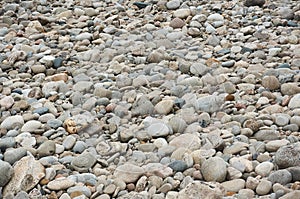 Grey cobbles rounded by river erosion at a former river bed