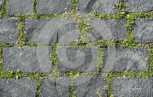 Grey coble stone background. Close up top view of monotone gray brick stone. Sidewalk or pavement with green grass