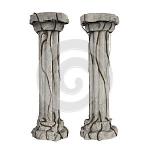 Grey columns with vine isolated