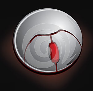 Grey computer mouse vector illustration