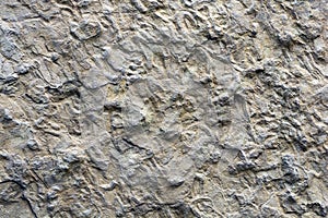 Grey concrete wall texture background. Textured plaster
