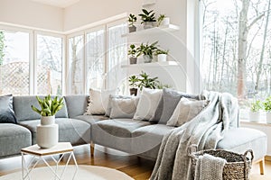 Grey corner couch with pillows and blankets in white living room