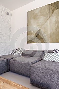 Grey corner sofa in trendy room