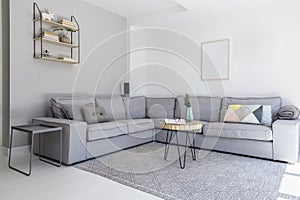 Grey corner sofa and wooden table in spacious living room interior with posters and carpet. Real photo