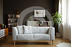 Grey couch with pillows in bright vintage living room interior with plants and poster. Real photo