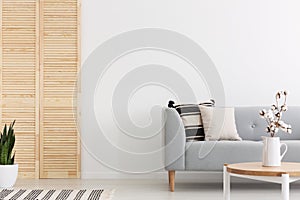 Grey couch with pillows in white flat interior with plant. Real photo