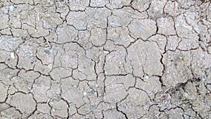 Grey crack of dried soil background