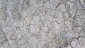 Grey crack of dried soil background