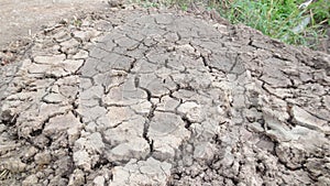 Grey crack of dried soil background