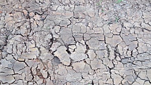 Grey crack of dried soil background