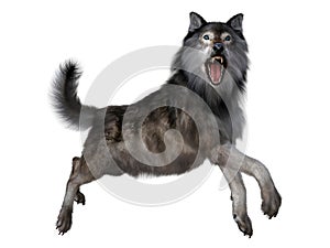 Grey Dire Wolf Leaping