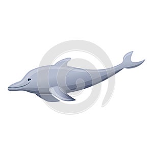 Grey dolphin icon, cartoon style