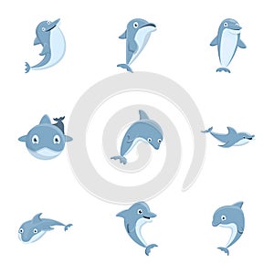 Grey dolphin icon set, cartoon style