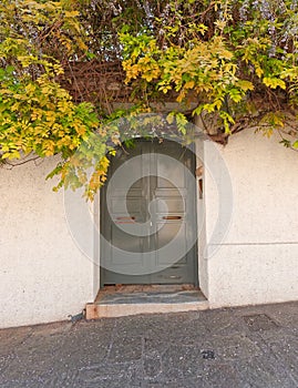 Grey door and foliage at Plaka picturesque neighborhood, Athens Greece