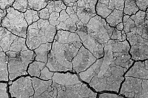 Grey dried and cracked ground earth background. Closeup of dry fissure dark ground. erosion