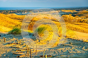 Grey dunes in Lithuania Nida