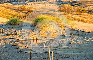 Grey dunes in Lithuania Nida