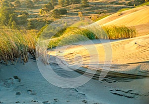 Grey dunes in Lithuania Nida