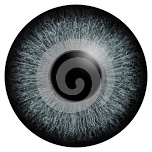 Grey eye iris macro illustration