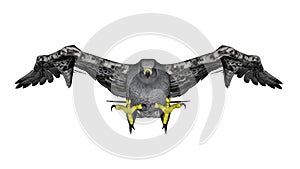 Grey falcon flying - 3D render