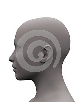 Grey female head