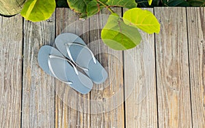 Grey Flip Flop sandals on a beach side boardwalk.  Wide angle