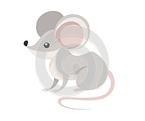 Grey forest mouse. Wood mouse cartoon style design. Flat  illustration isolated on white background. Forest inhabitant. Wild