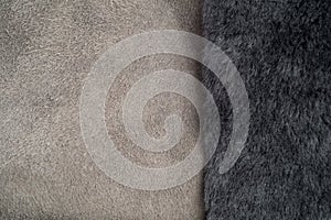 Grey Fur On Light Grey Shearling