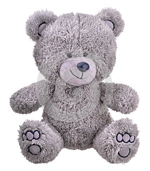 Grey furry teddy bear