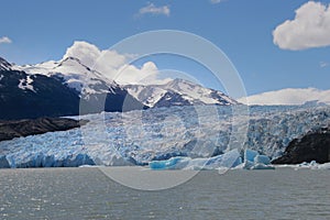 Grey Glacier