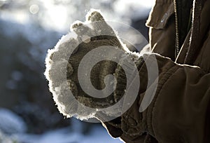 Grey gloves with snow in afternoon sunlight