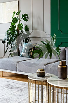 Grey and green living room with comfortable sofa