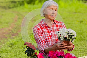 Grey-haired aged woman holding little pot with white flowers