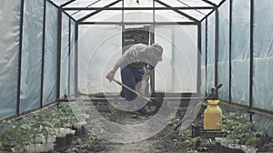 Grey-haired Caucasian man digging ground with shovel in greenhouse. Side view of senior farmer working in kaleyard on