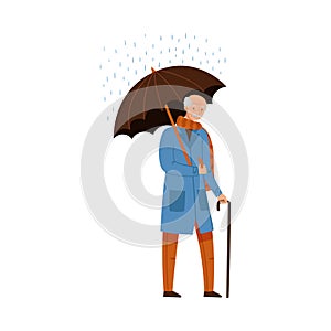 Grey Haired Senior Man Walking Under Umbrella in Rainy Day Vector Illustration