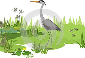 Grey heron Ardea cinerea, flying mosquitoes and abstract marsh landscape