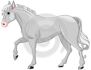 Grey Horse