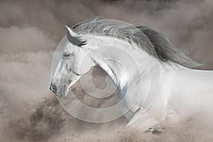 Grey horse with long mane