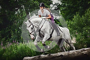 Grey horse with woman rider jumping over obstacle during eventing cross country training